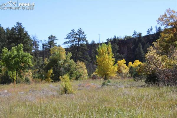 Beulah, CO 81023,Highway 78