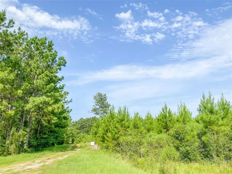 00 Jimbo Nettles Rd, Livingston, TX 77351