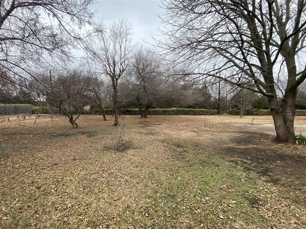 Fairview, TX 75069,511 Bluebird Lane