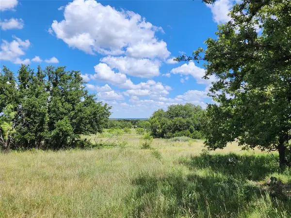 Carbon, TX 76435,TBD CR 183