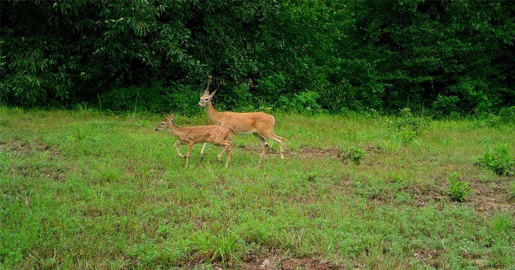 000 Hideaway Road, Arthur City, TX 75411