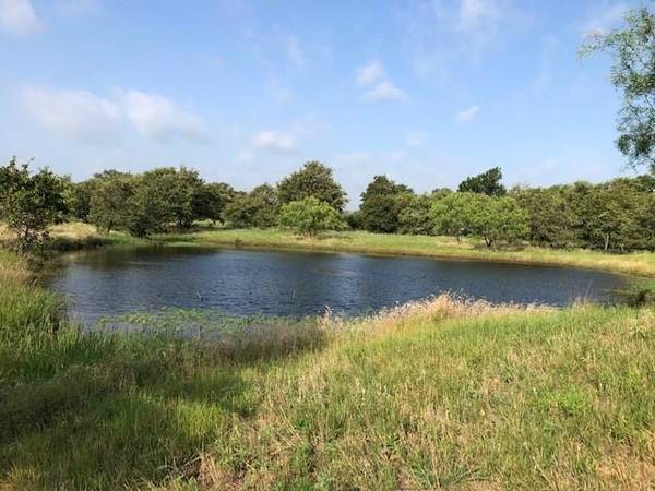 TBD County Rd. 3077, Bellevue, TX 76228