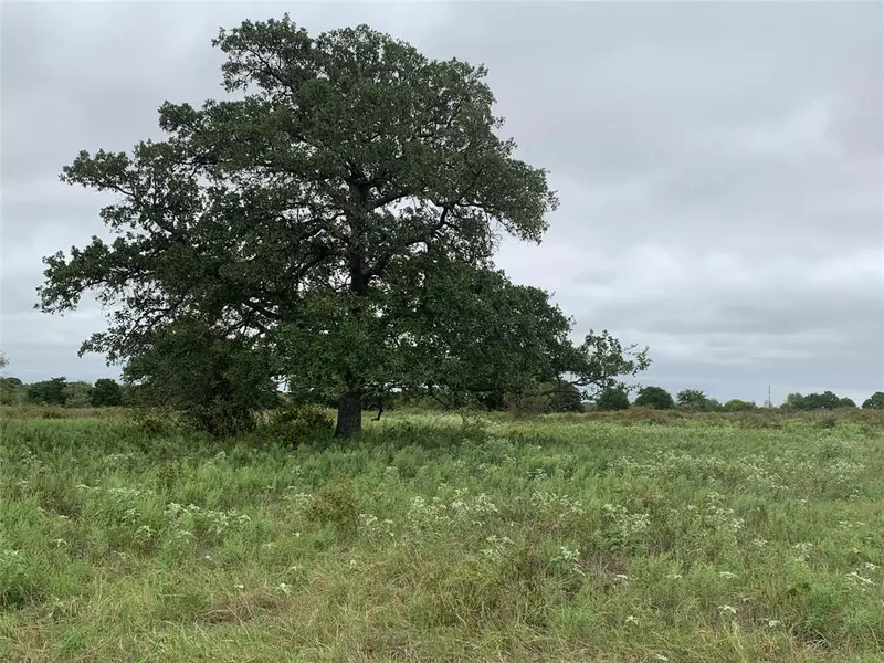 TBD E FM 583, May, TX 76857