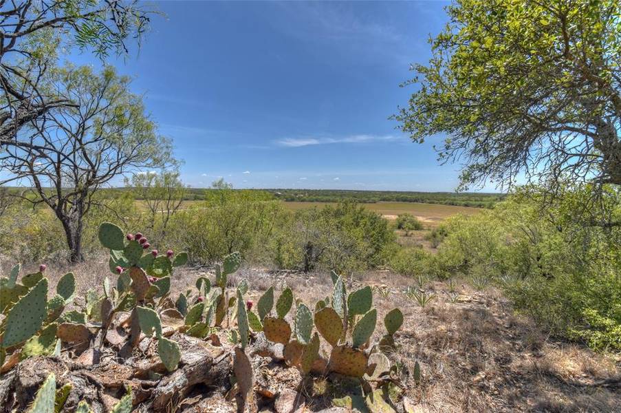 8725 L2 Hwy 377 S, Brookesmith, TX 76827