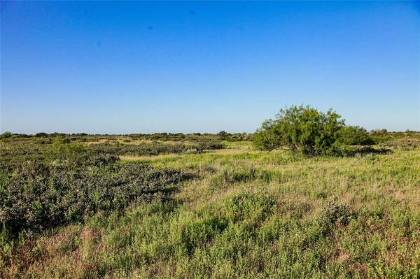 0010 CR 321, Aspermont, TX 79502