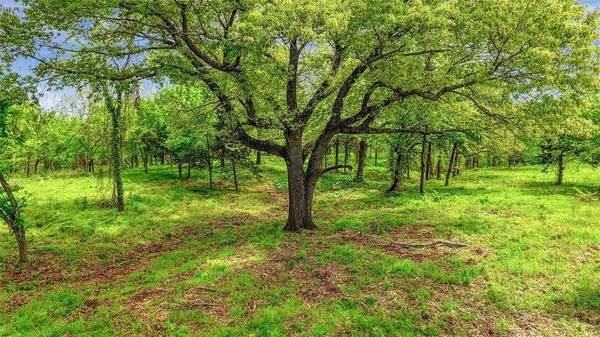 TBD County Rd 1215, Savoy, TX 75479