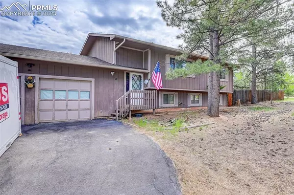 Woodland Park, CO 80863,1260 Michael LN