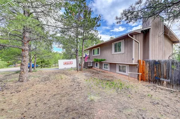 Woodland Park, CO 80863,1260 Michael LN