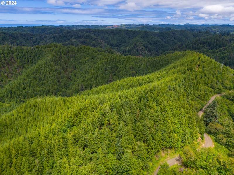 Criteser LOOP, Toledo, OR 97391