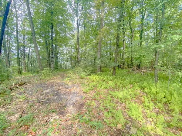 Interchange Road #Lot 9, Towamensing Township, PA 18235