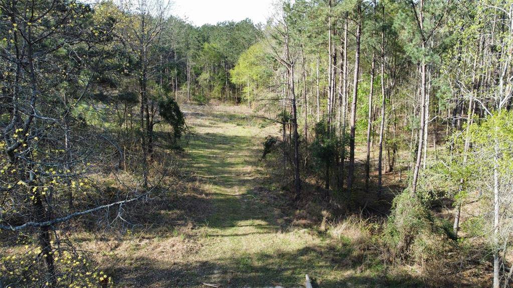 Lindale, TX 75771,000 County Road 434