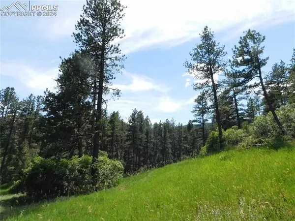 Larkspur, CO 80118,8482 Crow PL