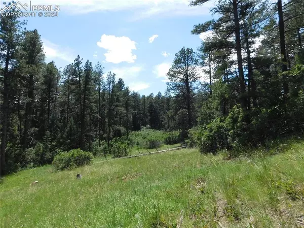 Larkspur, CO 80118,8482 Crow PL