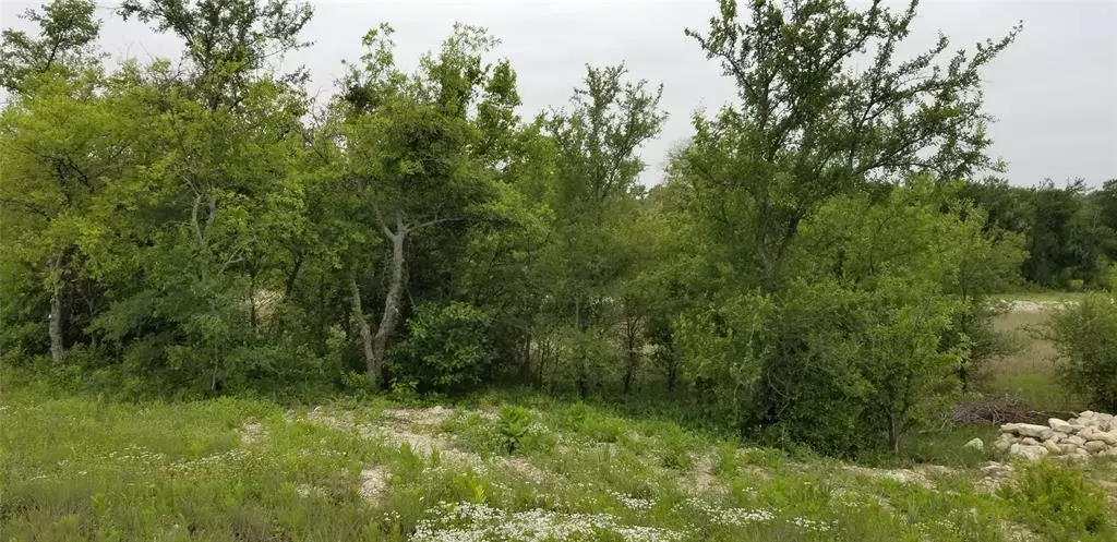 Decatur, TX 76234,Lot 25 PR 4219