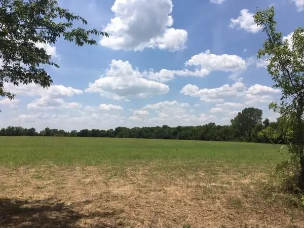 Honey Grove, TX 75446,000 County Rd 3443