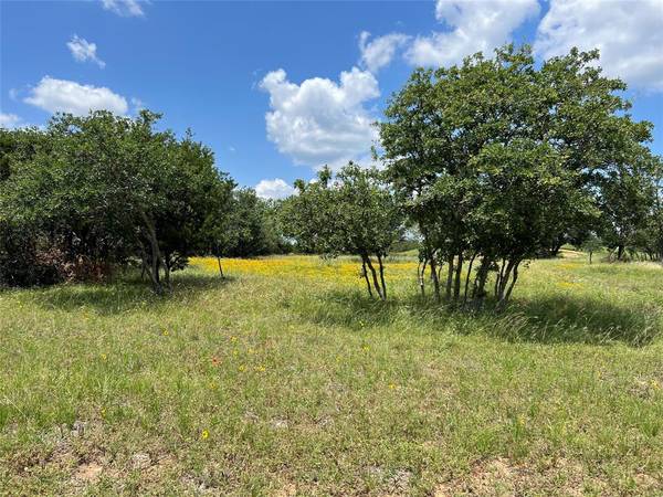 Lot 88 Colonial Drive, Possum Kingdom Lake, TX 76449