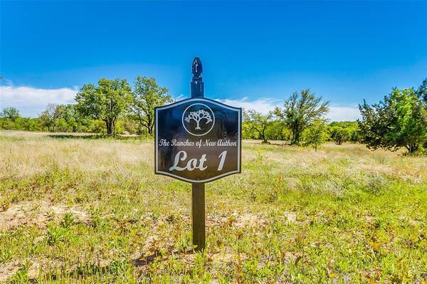 Lot 1 Rona Lane, Weatherford, TX 76088