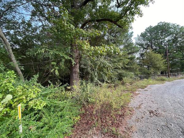 Quitman, TX 75783,Lot 4 Kerry Circle