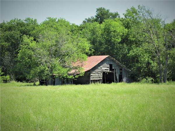 TBD NW St Hwy 24-CR 4255, Cooper, TX 75432