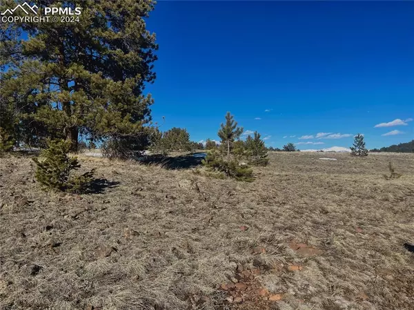 Guffey, CO 80820,1091 Julia RD