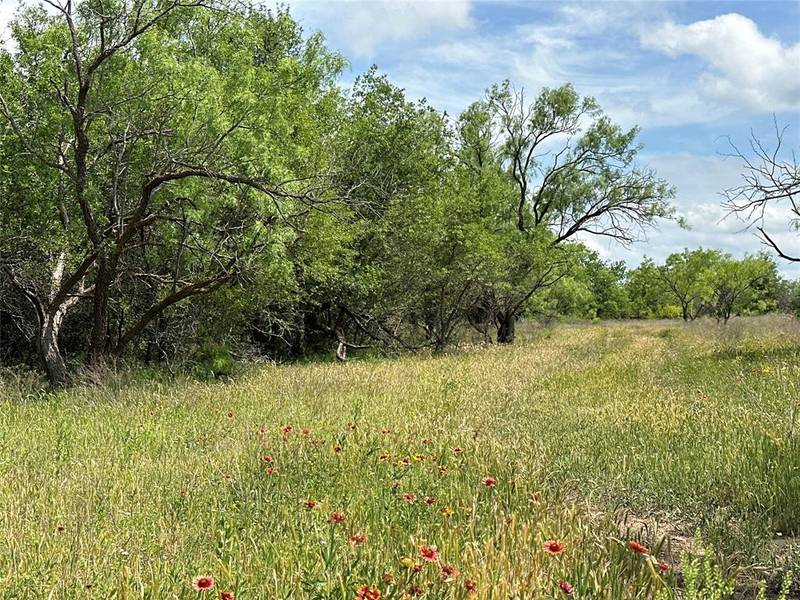 Tract 7 County Rd  107, Abilene, TX 79601