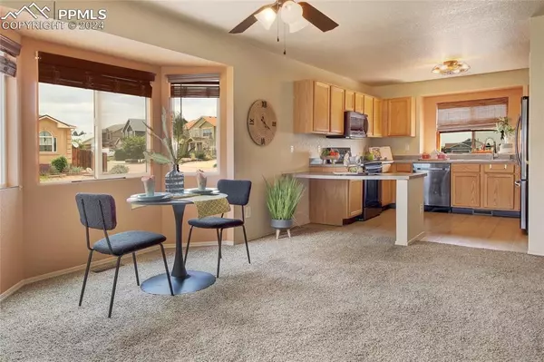 Colorado Springs, CO 80916,3314 Viero DR