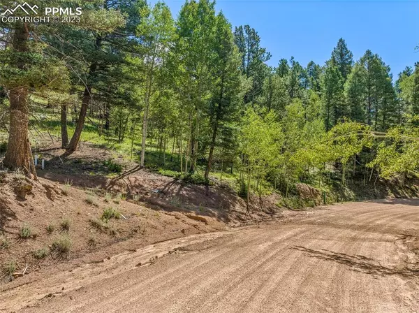 754 Bennett DR, Cripple Creek, CO 80813