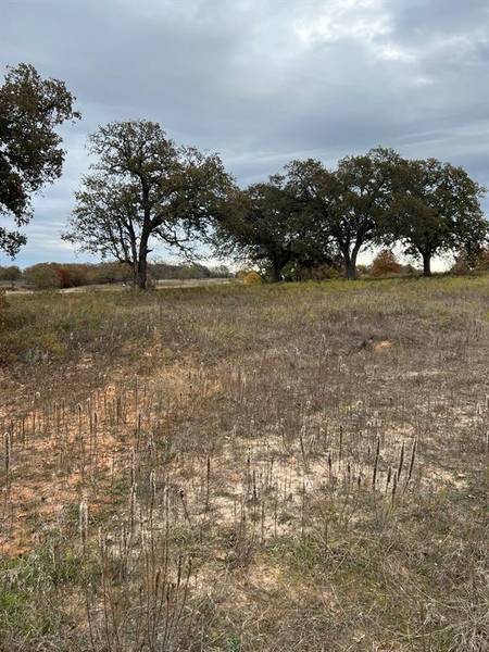 1073 Gonzollas Road, Springtown, TX 76082