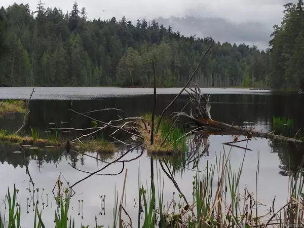 Denman Island, BC V0R 1T0,8575 Owl Cres