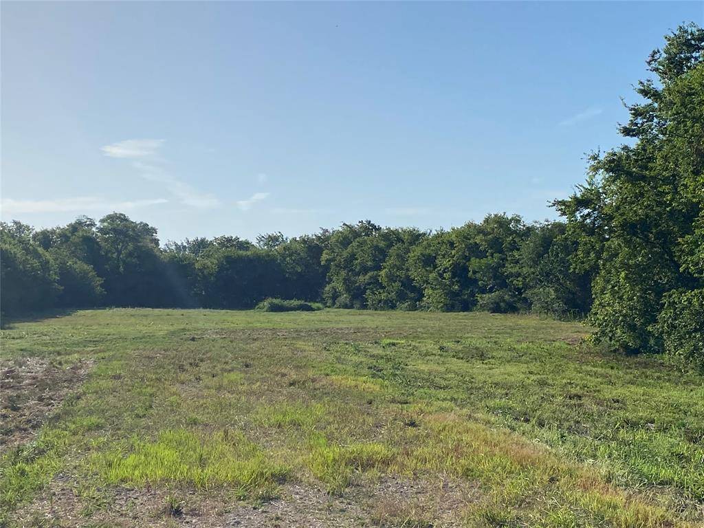 Wills Point, TX 75169,TBD Ash Lane