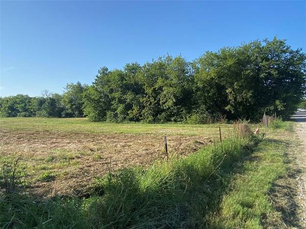 Wills Point, TX 75169,TBD Ash Lane