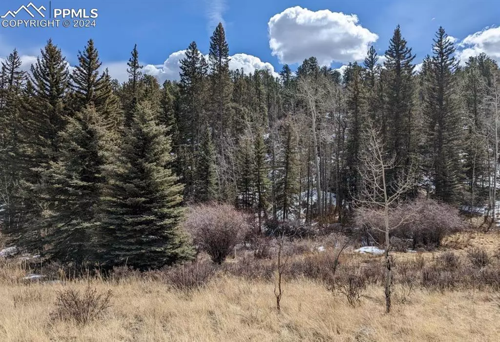 Guffey, CO 80820,1620 Park Ridge DR