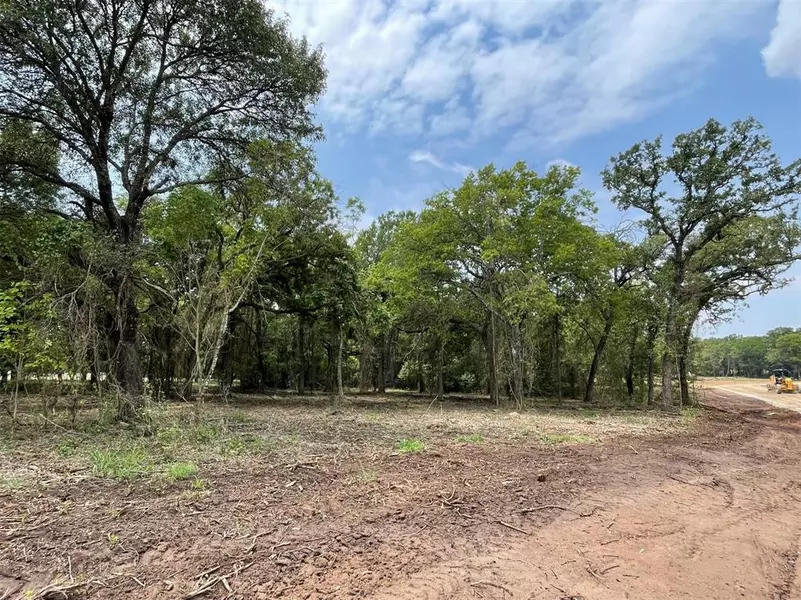 Lot 25 Roy Coffee Court, Weatherford, TX 76087