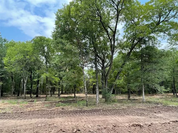 Weatherford, TX 76087,Lot 28 Roy Coffee Court