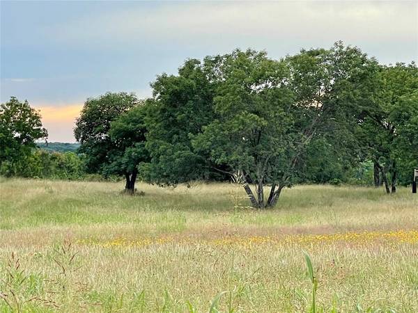 Lot 21R Cactus Rio Lane, Weatherford, TX 76087