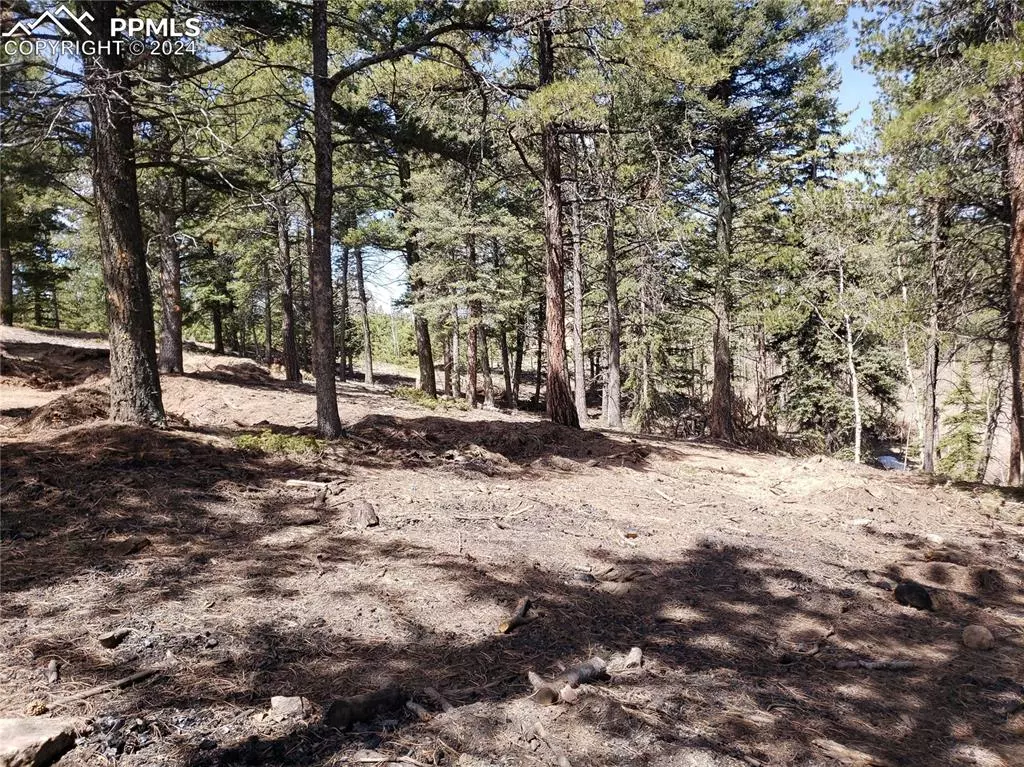 Woodland Park, CO 80863,10460 Peavey PL