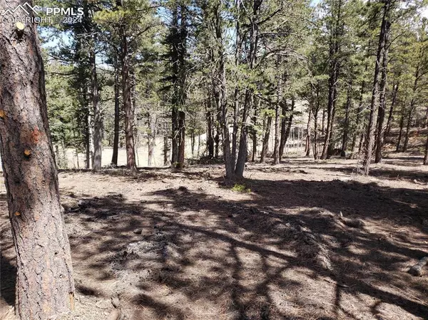 Woodland Park, CO 80863,10460 Peavey PL