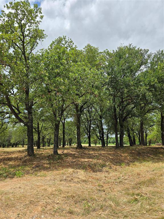 1895 Sunflower Road #Lot 2, Bridgeport, TX 76073