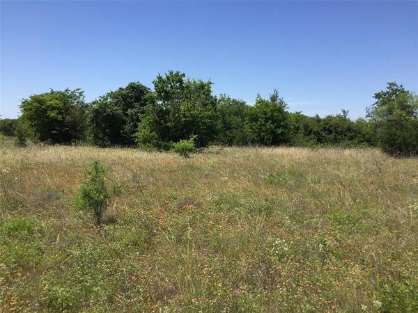 TBD W Fm 217,  Jonesboro,  TX 76538