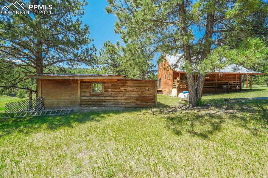 53 9th ST, Guffey, CO 80820