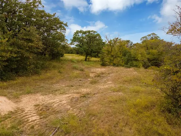 Paradise, TX 76073,Lot 3 Hwy 114