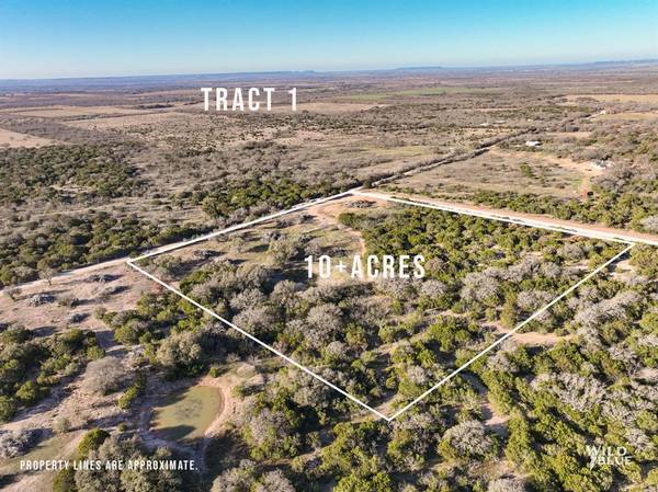 Tract 1 Red Oak Rd, Ovalo, TX 79541