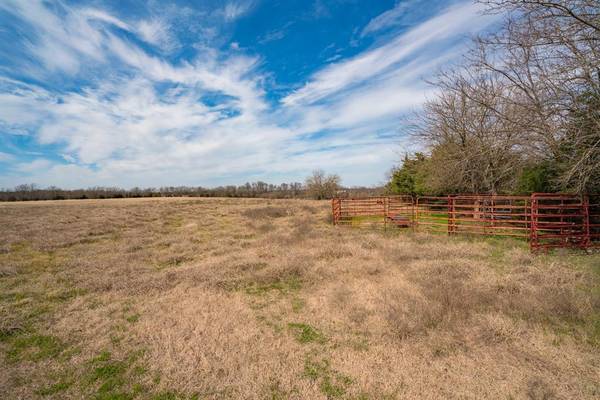 Cooper, TX 75432,TBD FM 2716