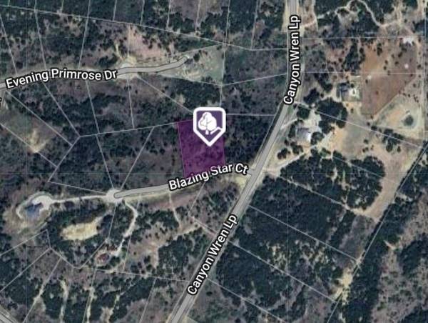 Lot 344 Blazing Star Court, Possum Kingdom Lake, TX 76449