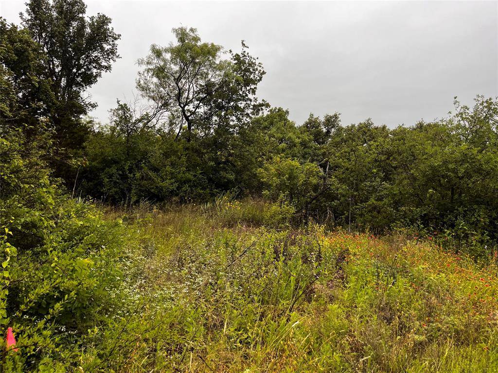 Brownwood, TX 76801,Lot 669 Ballycastle Drive