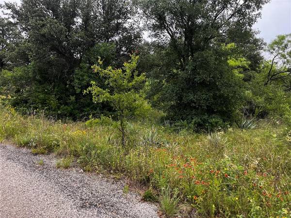 Brownwood, TX 76801,Lot 669 Ballycastle Drive