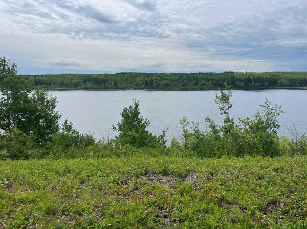 Lot 5 Murphy Lake, RM of Loon Lake, Rural, SK S0M 1L0