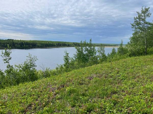 Rural, SK S0M 1L0,Lot 5 Murphy Lake, RM of Loon Lake