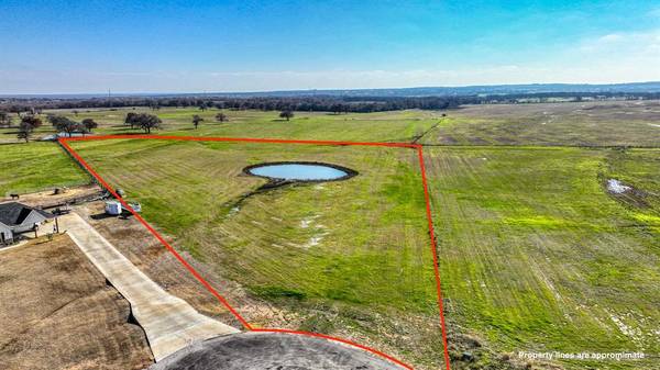 TBD 14 Monarch Court, Poolville, TX 76487