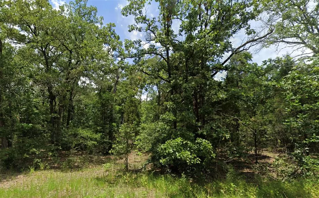 Log Cabin, TX 75148,TBA Lot 1550 Goliad